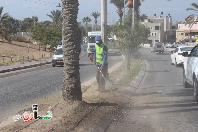 فيديو - كفر قاسم :  بعد النشر في قسماوي نت  البدء بالمراحل الاولى من البستنة والتشجير في جزر مدخل المدينة 